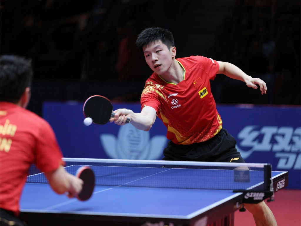 智商的融合 智商的融合